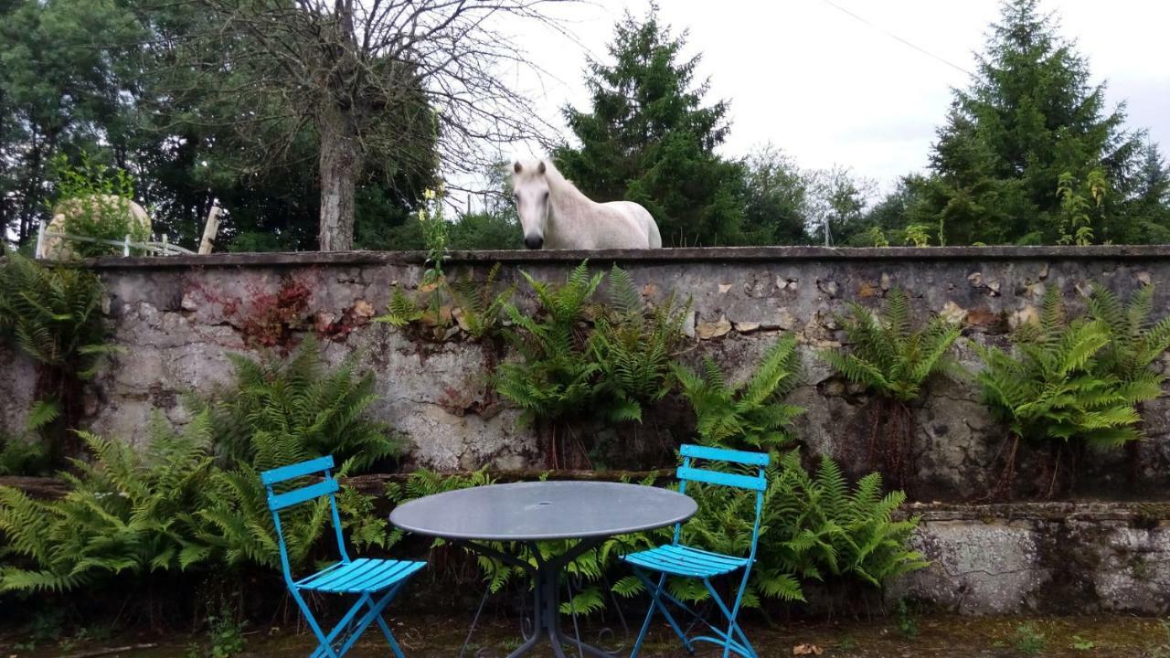Les Anniquins Villa Ivoy-le-Pré Exteriör bild