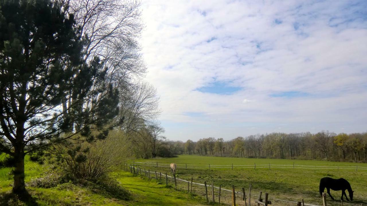 Les Anniquins Villa Ivoy-le-Pré Exteriör bild
